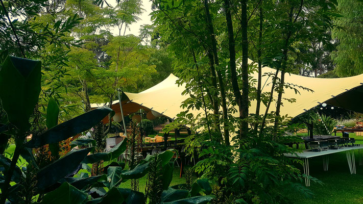 image-10.jpg