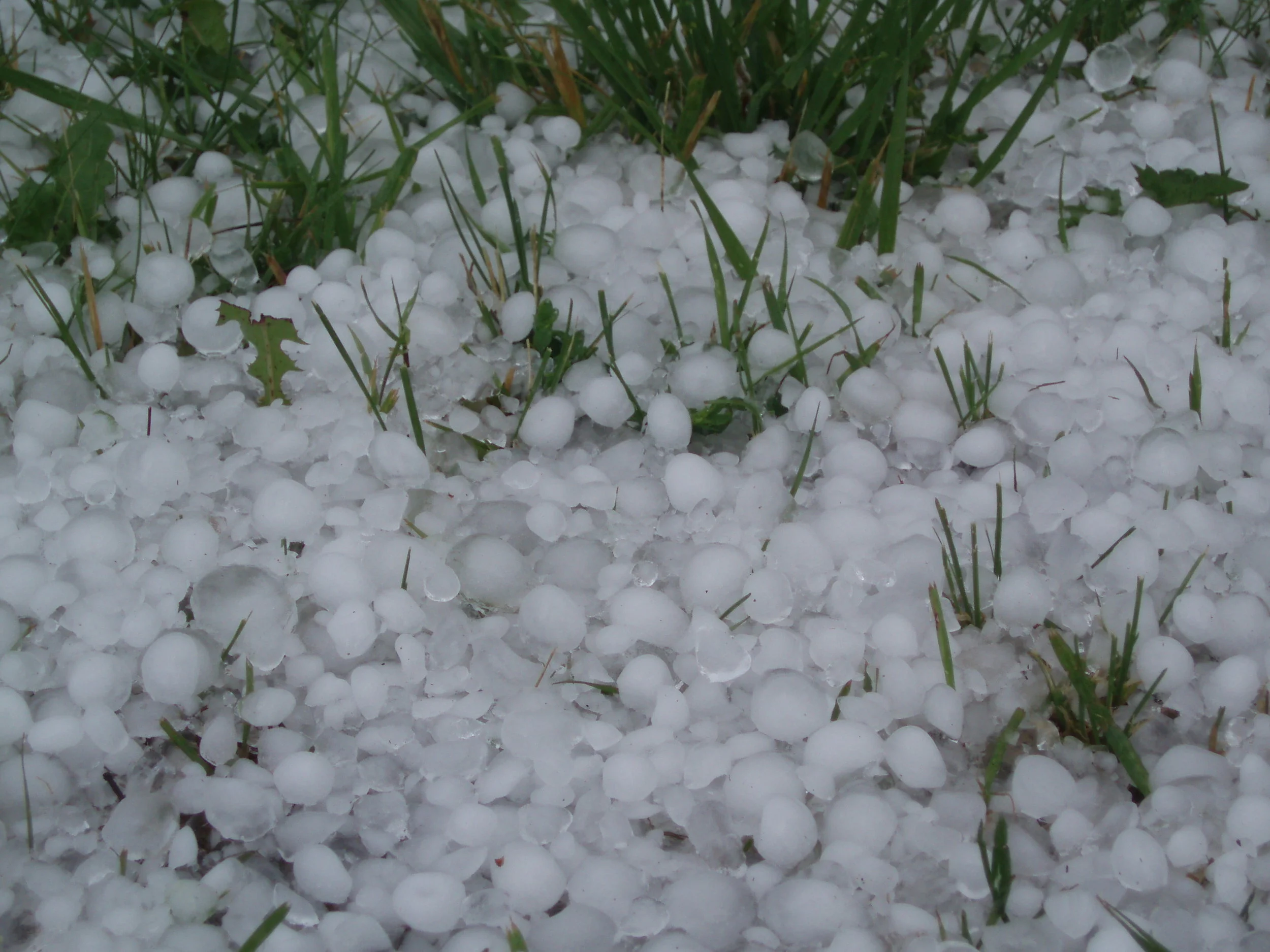 Huge Hail in Montana!