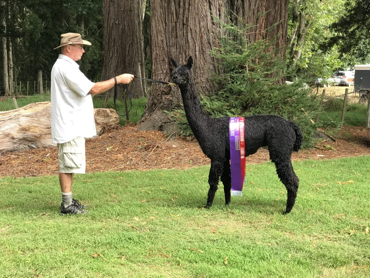 2018-03-03 Ultimatum (Large).jpg