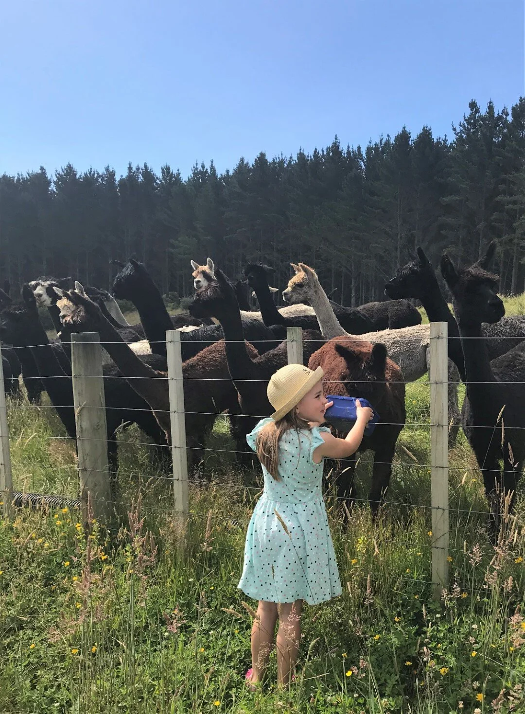 2018-12-30 16.26.10 (Large).jpg