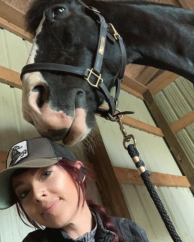 🍸 B A D . F R I E N D 🍸 .
Gets horse drunk. Takes pictures. 📸
.
My feed has been Nim heavy for the past few months because poor baby Cairo has been having trouble stayin 100% sound. 😢 He was a model citizen today while getting x-rays and having h