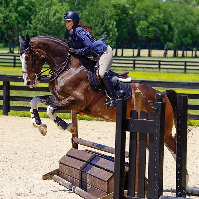 ☁️ S P E E D . B U M P ☁️ .
.
Baby Nim 🧹 vs the speed bump jump from last week&rsquo;s show - our very first show together. 💕 He was a rockstar and jumped all the jumps on the first try, in the right order 😂🤣 (thank you @justmax70 for helping me 