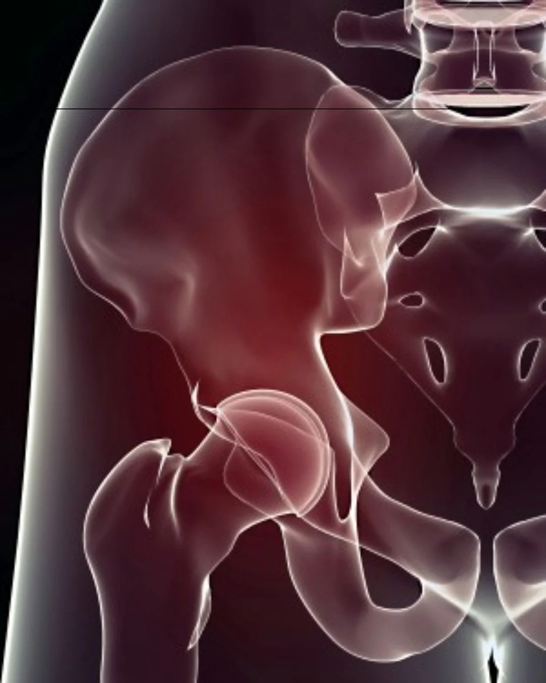 Healthier Hip Joints Introduction