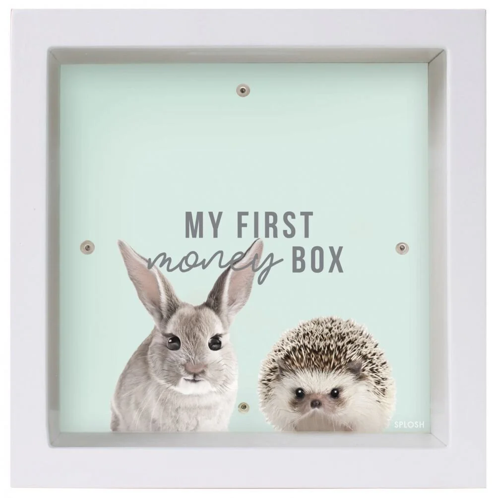 first-money-box.jpg