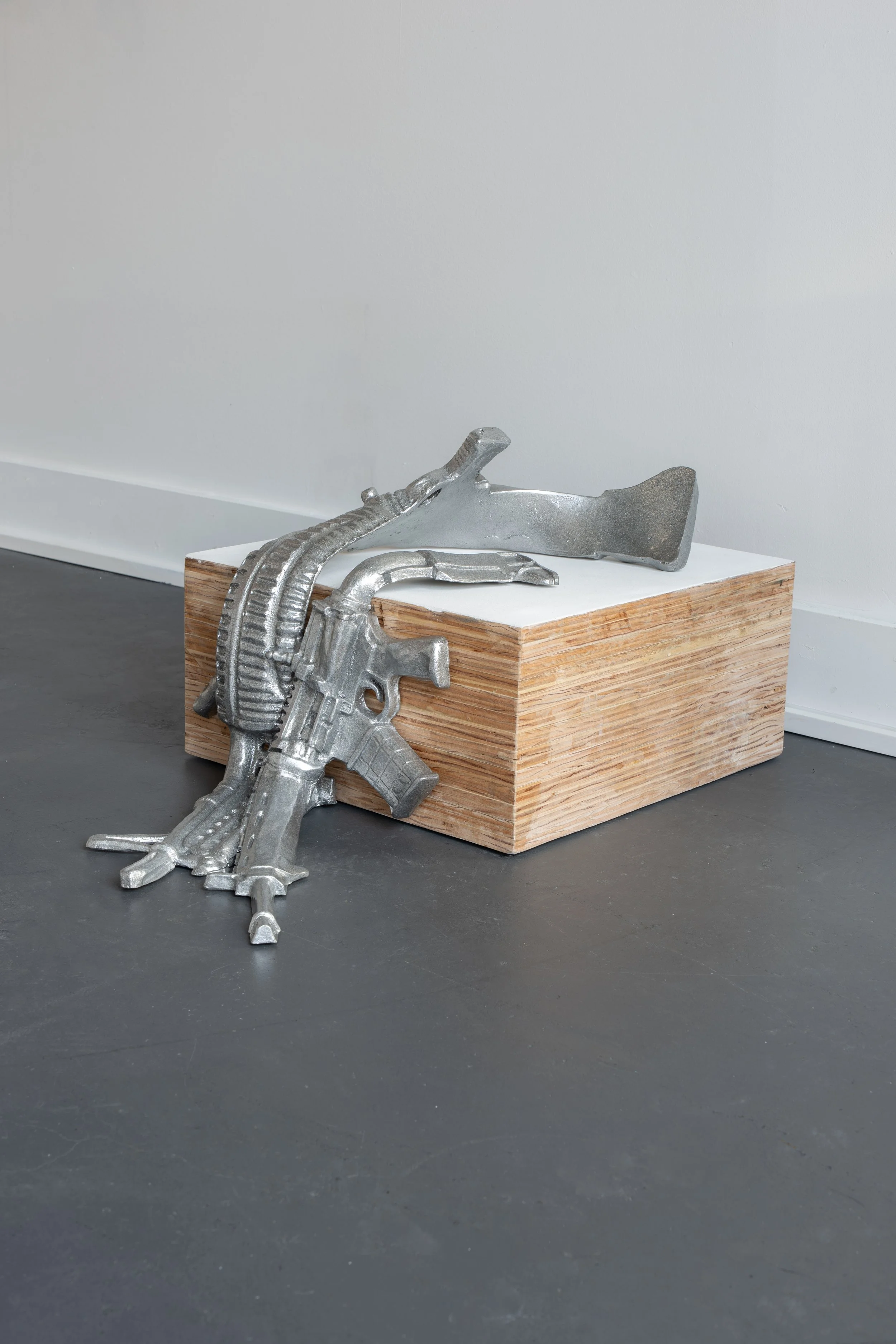 Floppy, Flopped, Firearms (Detail)