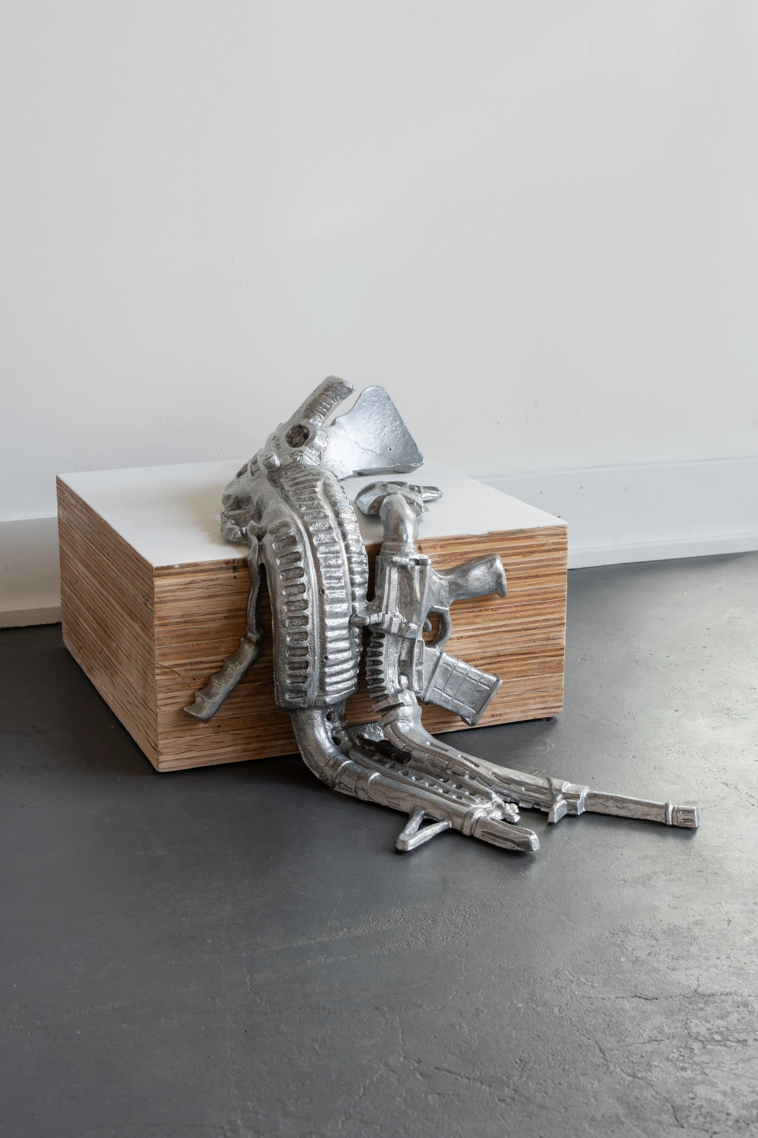 Floppy, Flopped, Firearms (Detail)