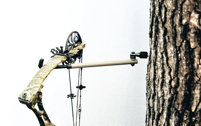 bow_slideshow-700x441.jpg