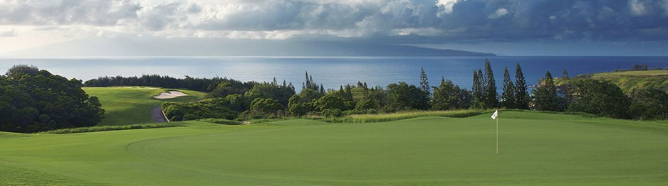 plantation course.PNG