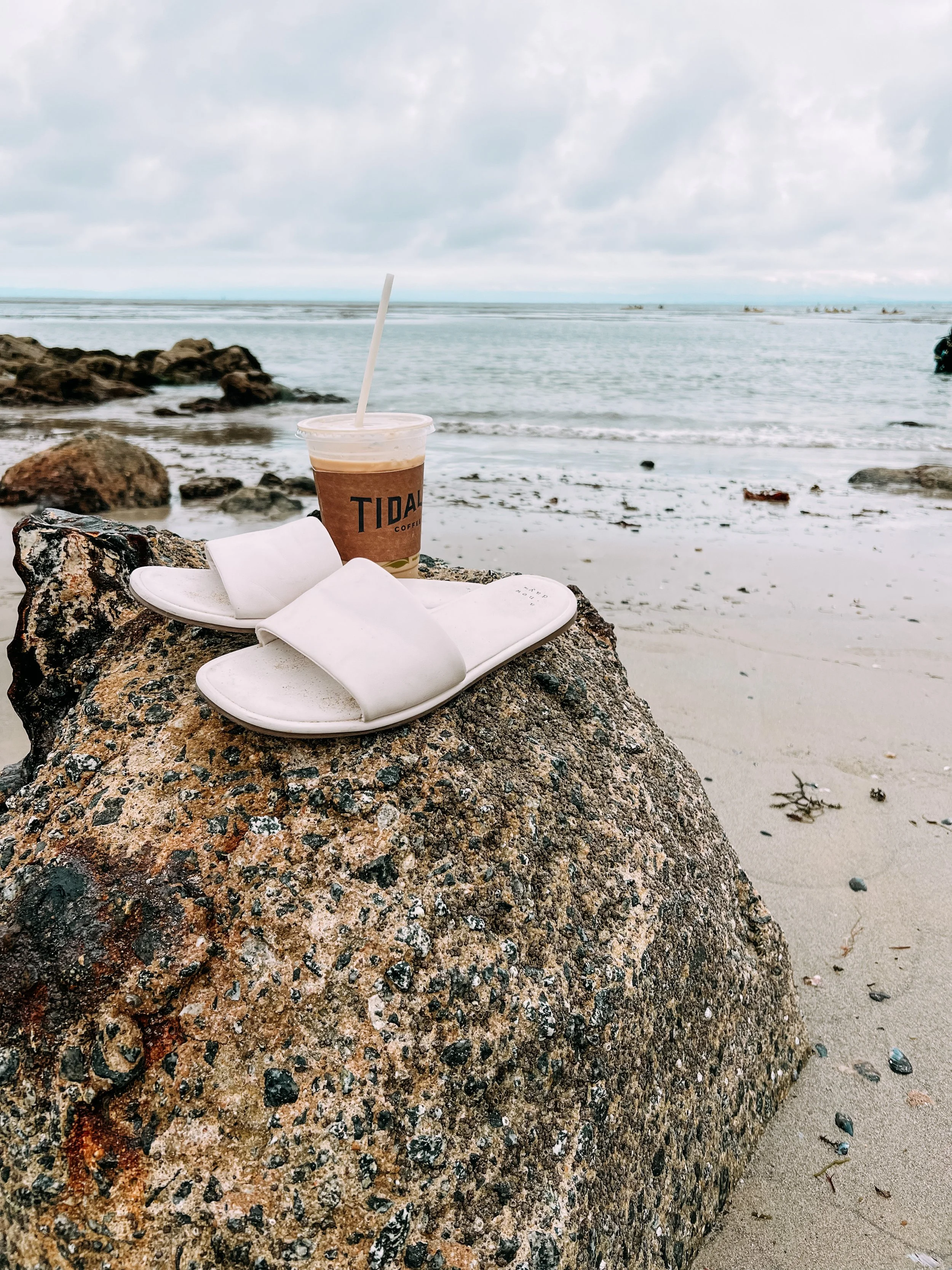 Tidal Coffee Near San Carlos Beach