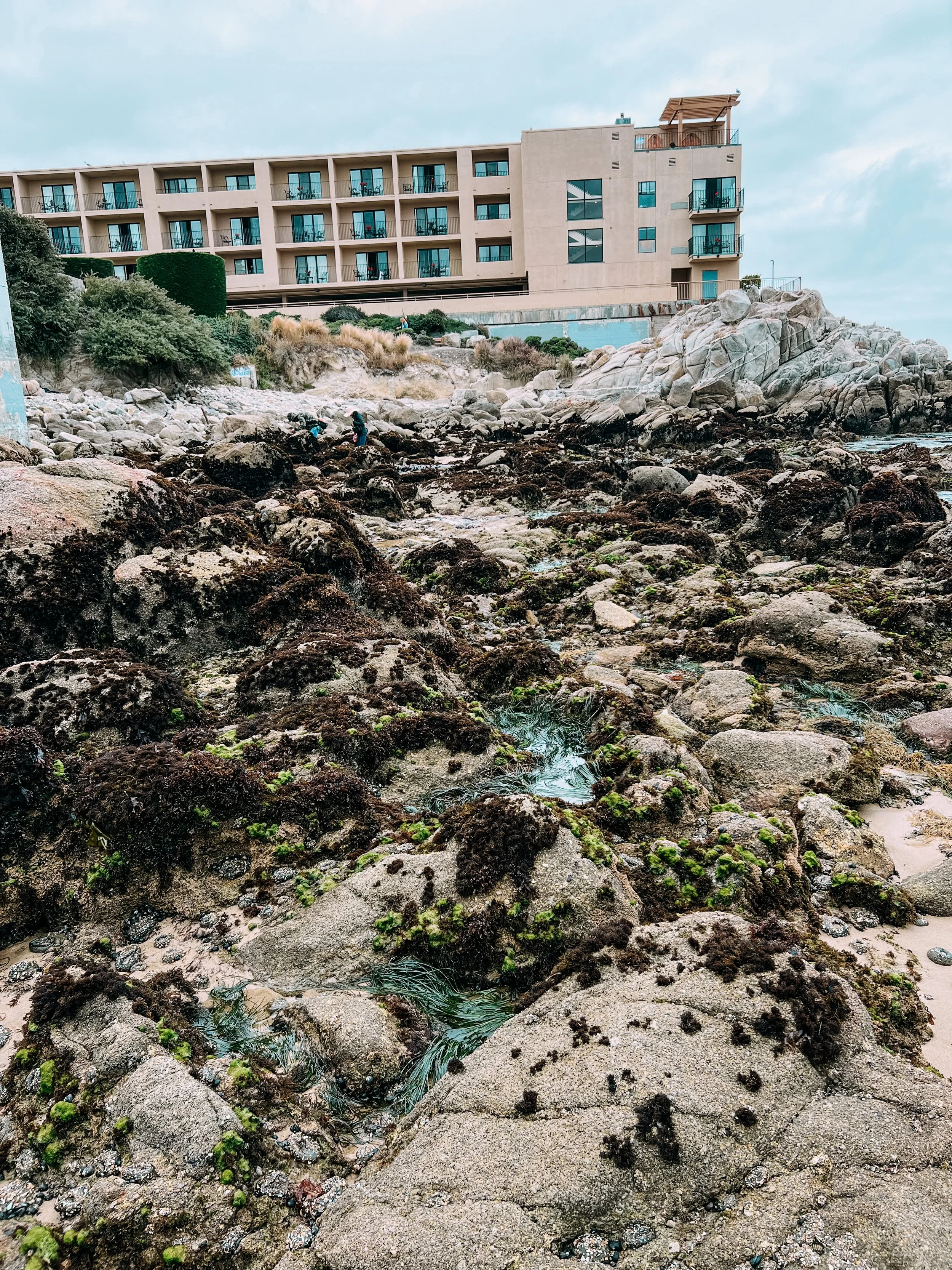 Tide Pools at San Carlos Beach