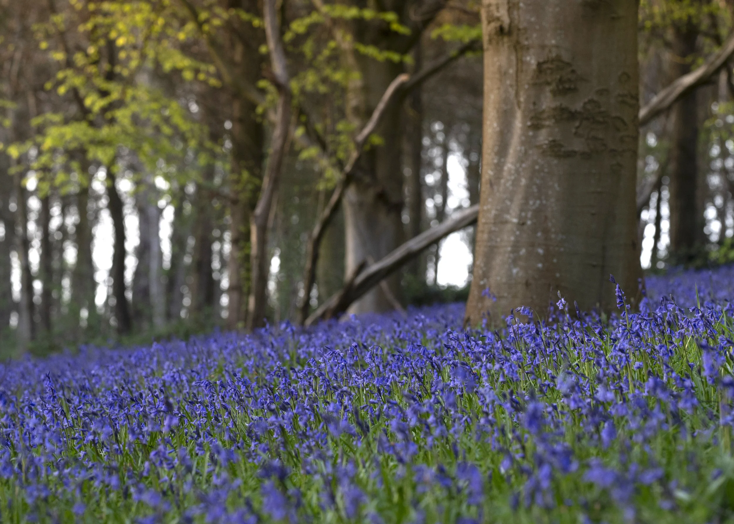 260408 001.jpg