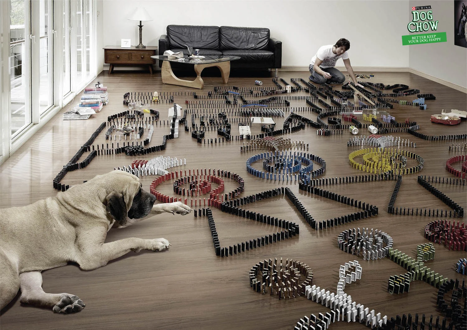 Purina-1.jpg
