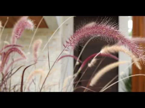 CASA JD MILÃO | ANNA PAULA MELO