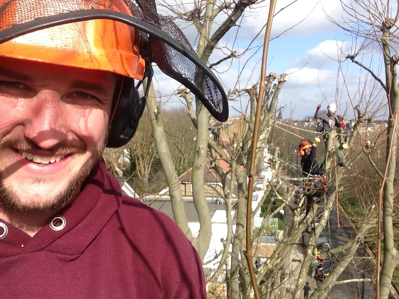 Tree Condition &amp; visual tree inspection 