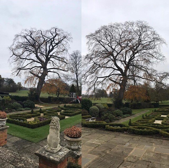 Liam was punctual and explained the tree pruning process clearly. The work was done very quickly and efficiently. My garden was left extremely tidy. Nothing was too much trouble.
