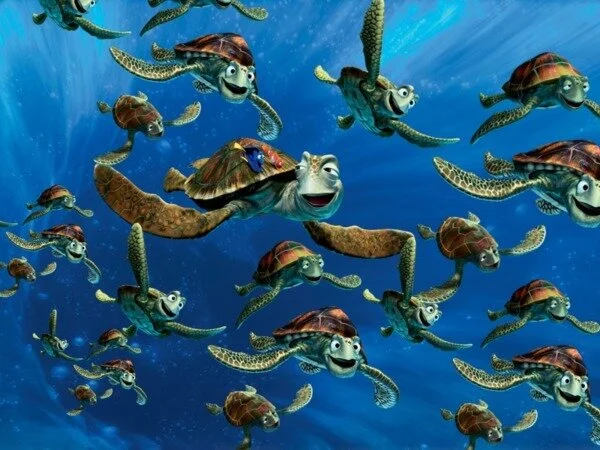 The Power and Responsibility of Personal Well-being:  what do the turtles in Finding Nemo have to do with International Women’s Day?