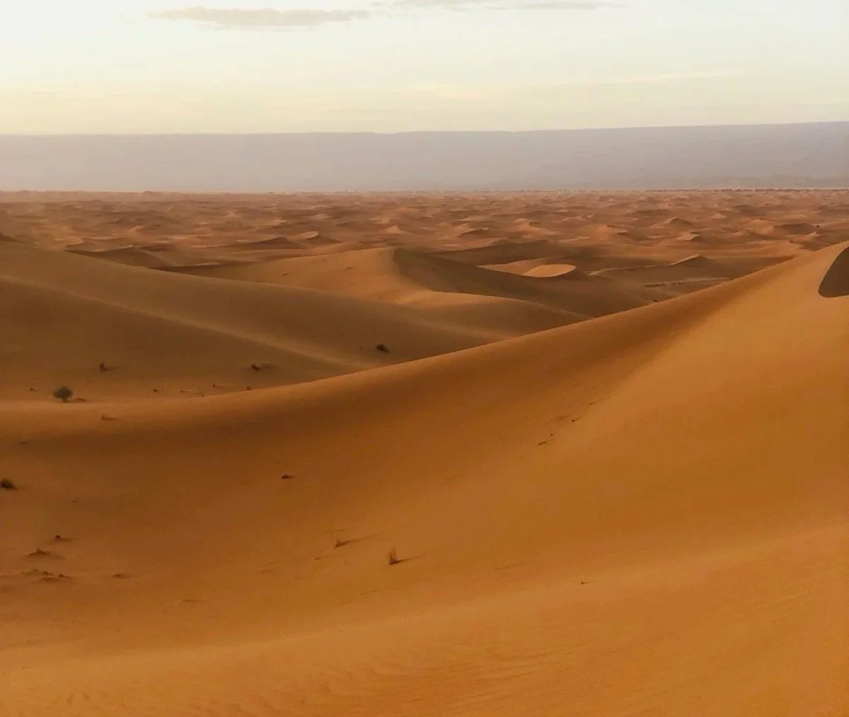 IWD2026 - Shifting Pyramids: Women, Technology and the Forces that Shape Us