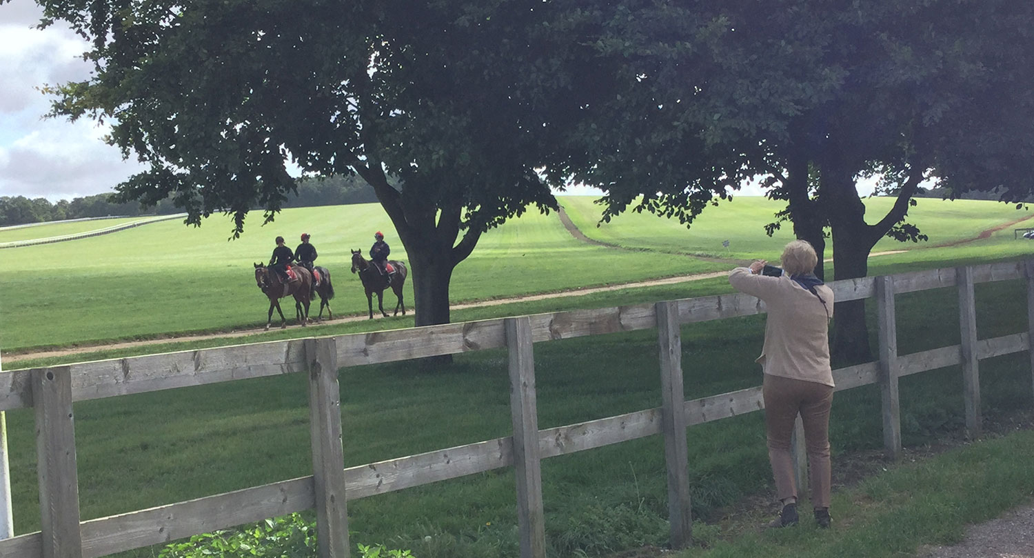 VISITING NEWMARKET RACE GALLOPS WITH CLIENTS
