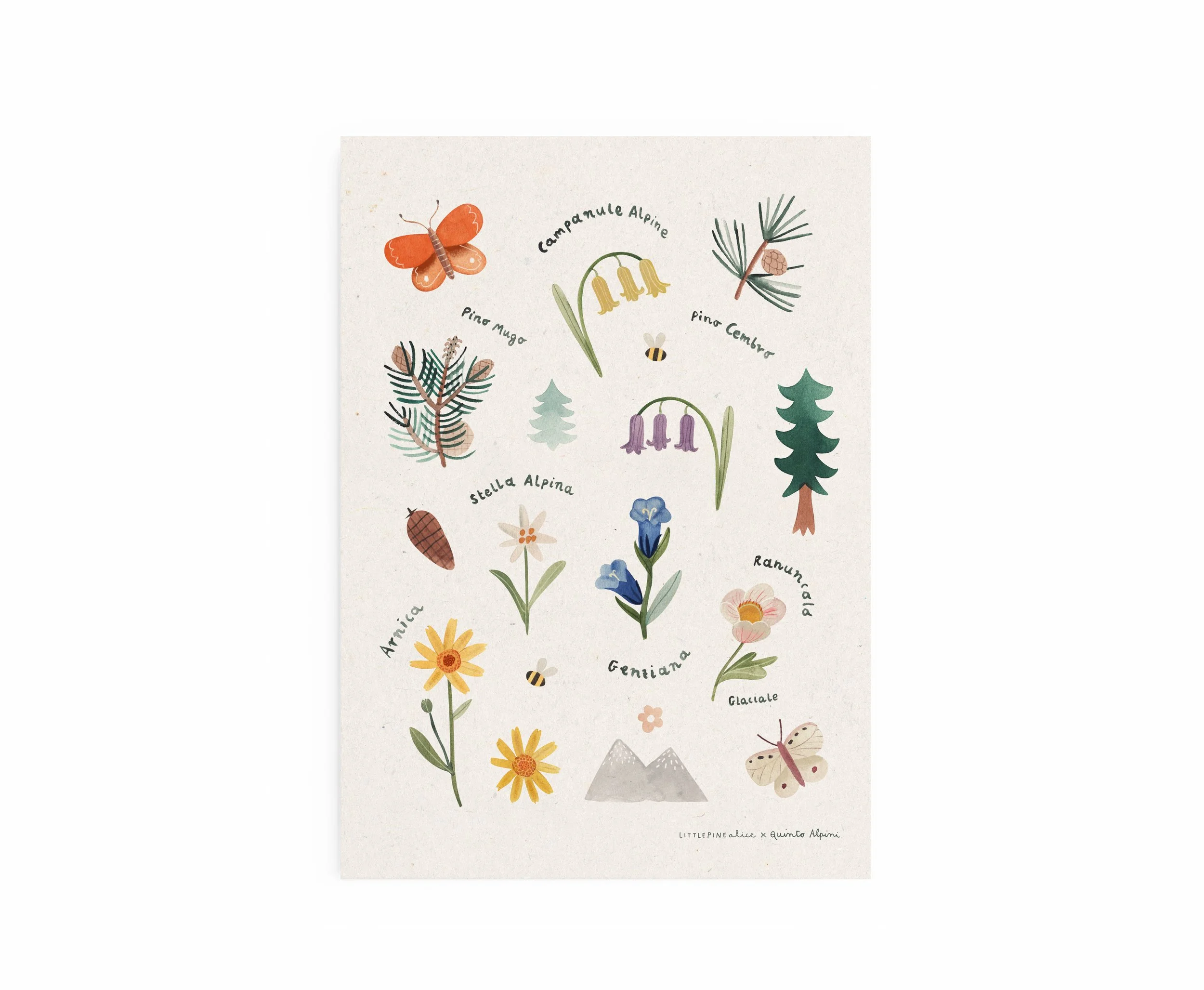Littlepinealice_Poster Flora A3 copia.jpg