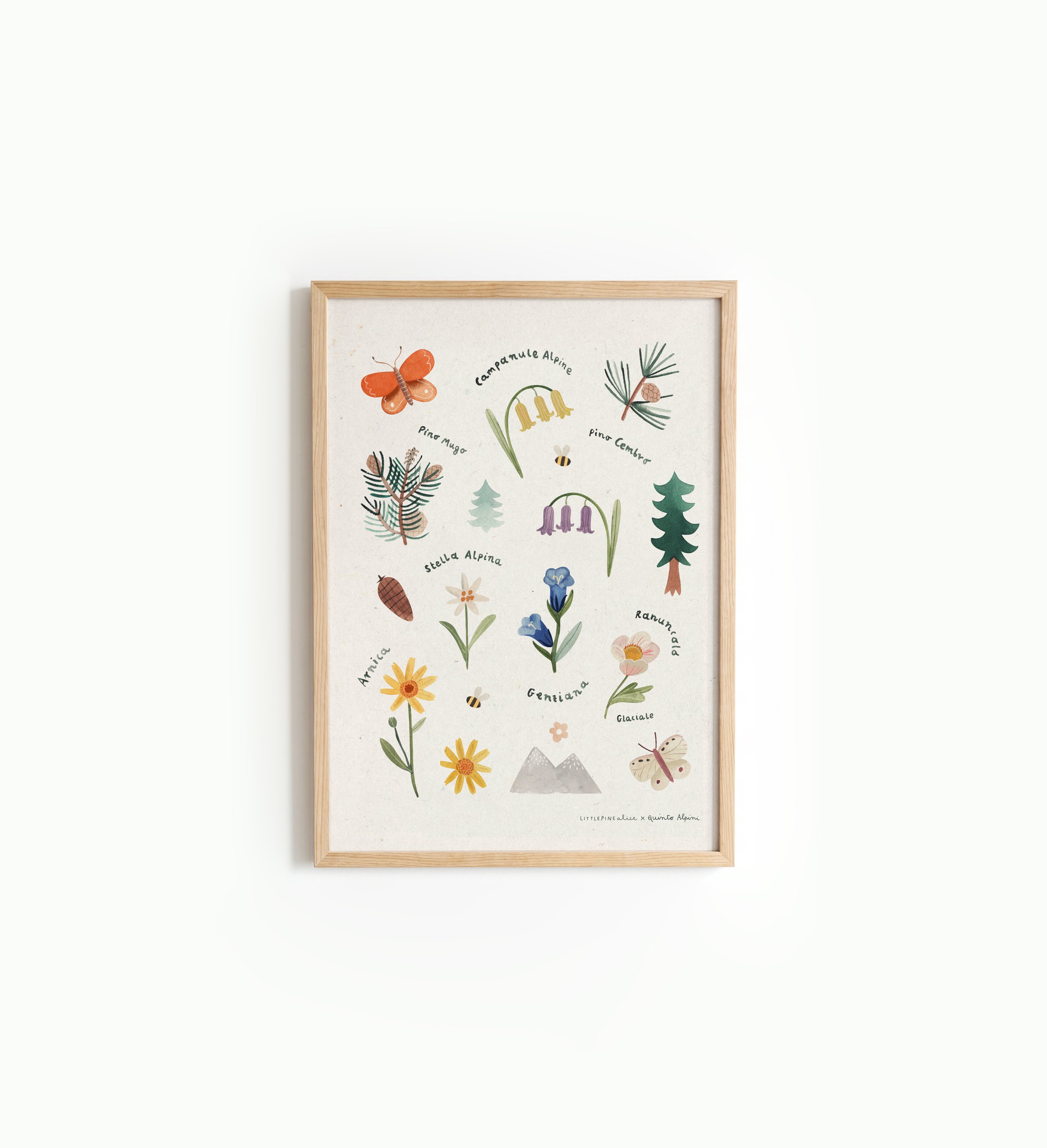 Littlepinealicexquintoalpiniframe poster flora copia.jpg