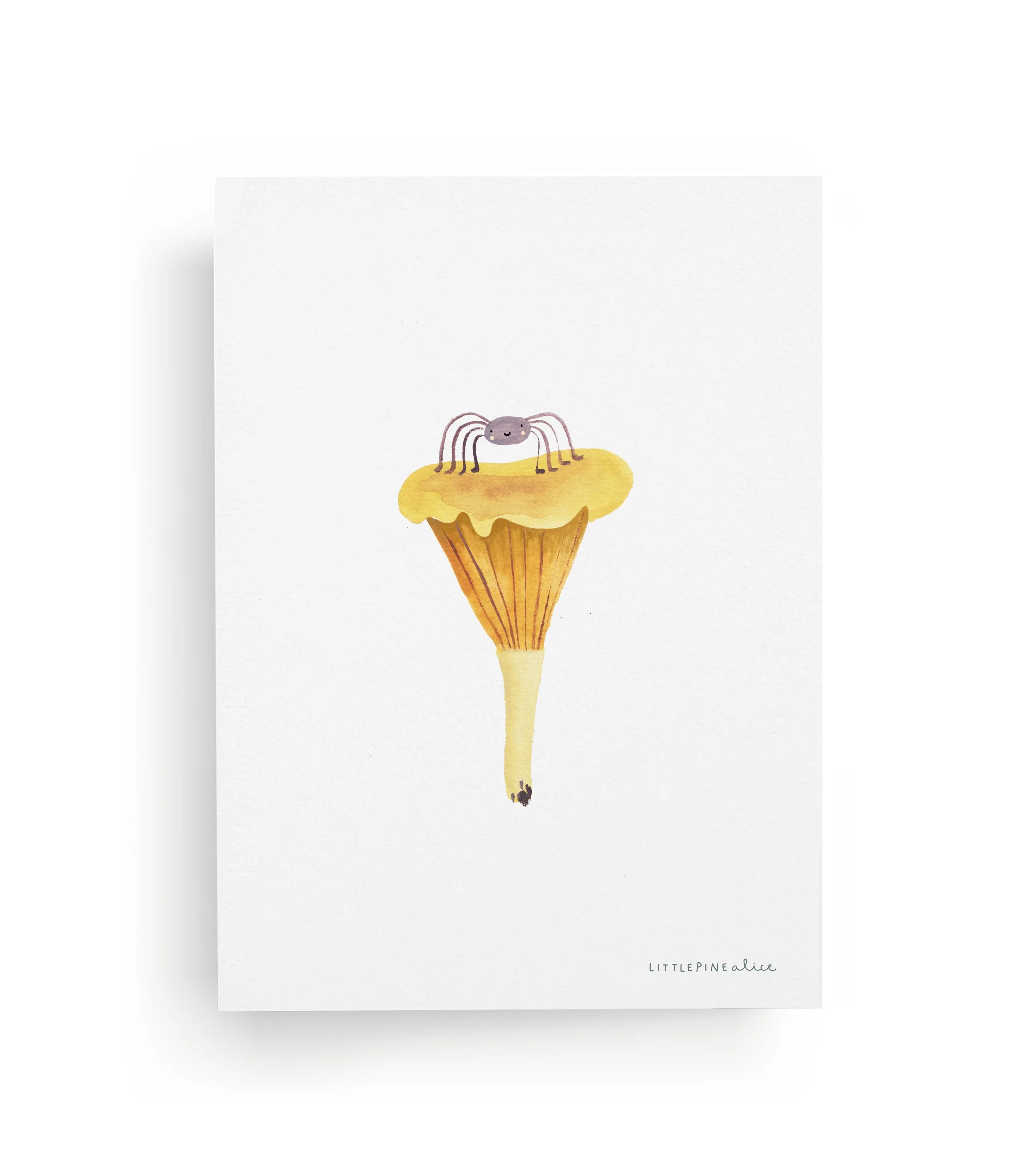 Littlepinealice_Finferlo A5.jpg