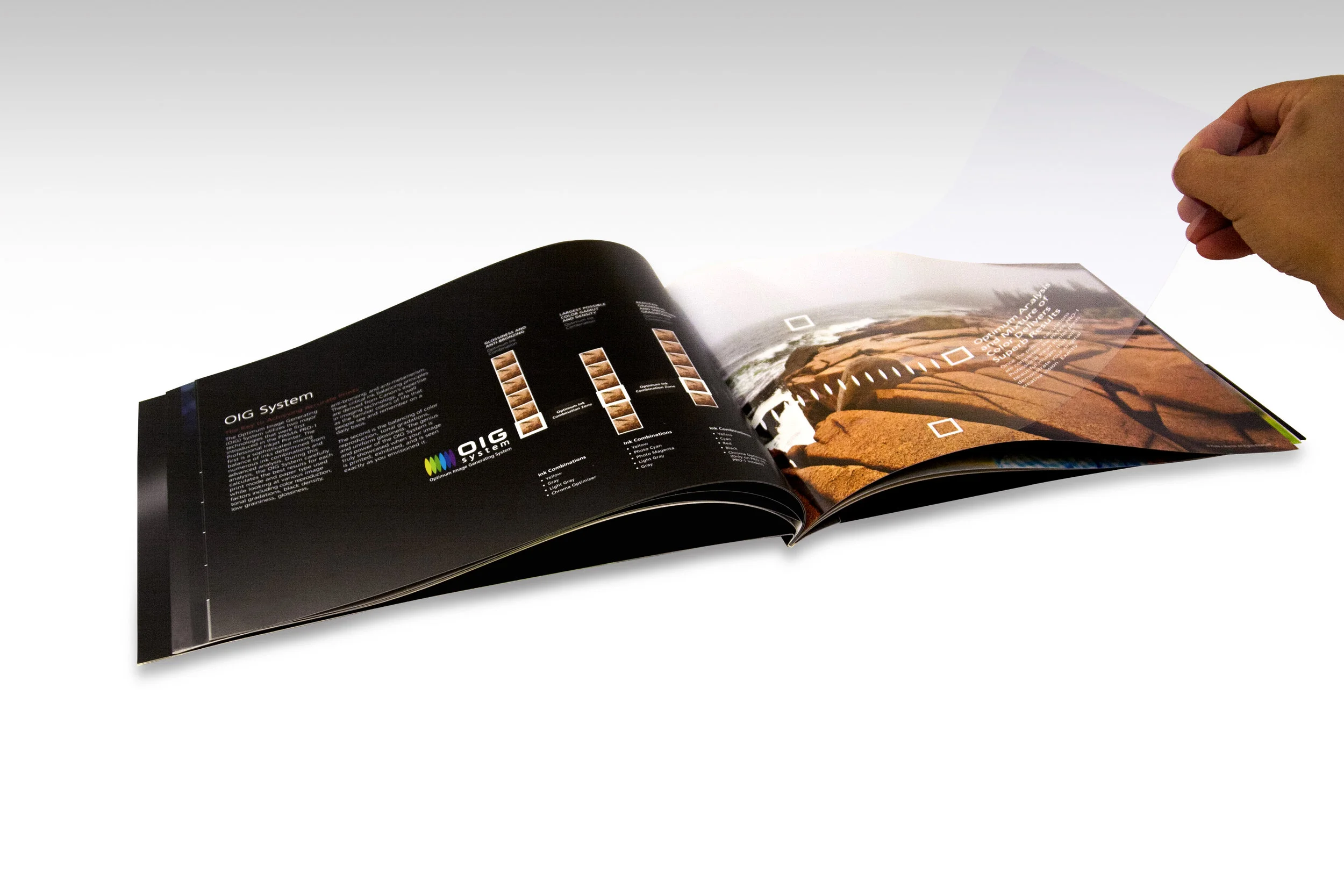 ProBrochure_OIG.jpg