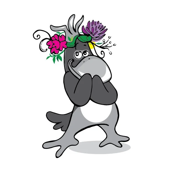 wirmakka.jpg