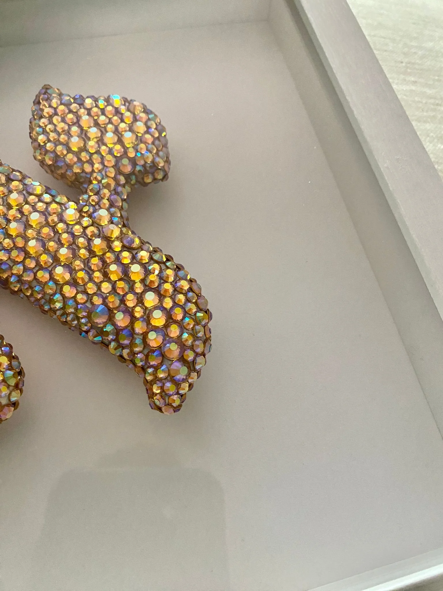 WhatsApp Image 2023-05-11 at 12.20.57 PM.jpeg