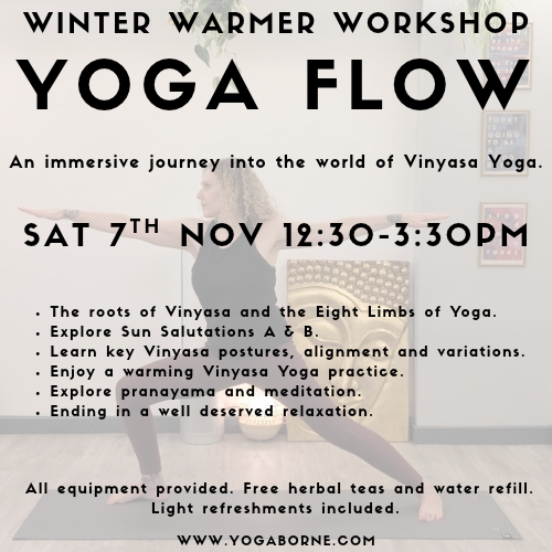 Winter Warmer Vinyasa Flow Workshop (4).png