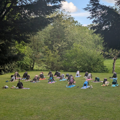 Park 6.png