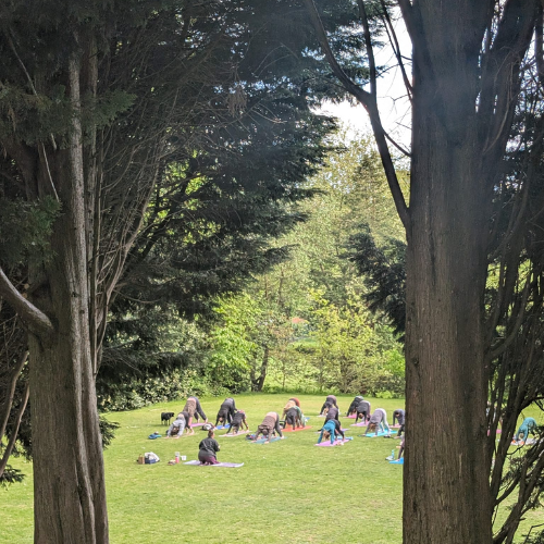 Park 7.png