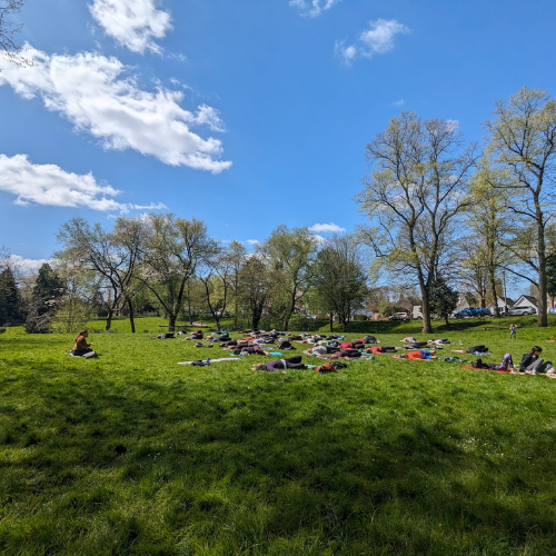 Park 13.png