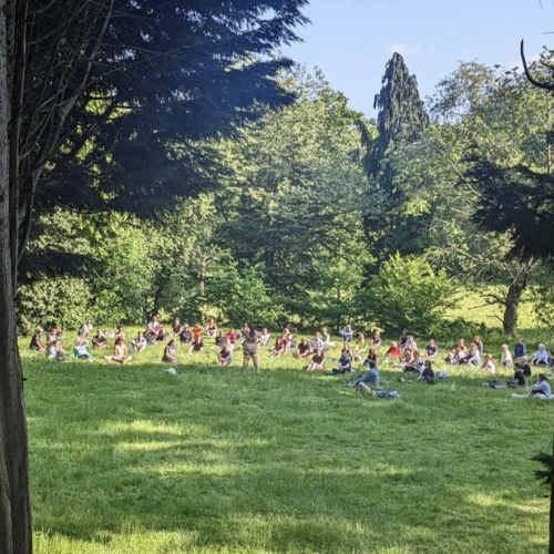 Park 15.png