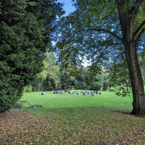 Park 17.png