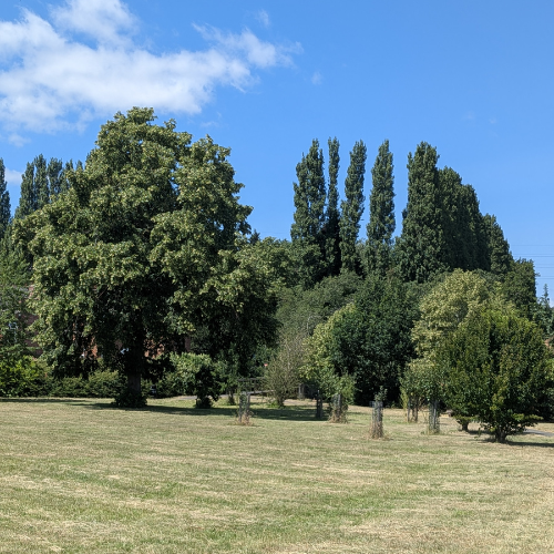 Park 1 (1).png