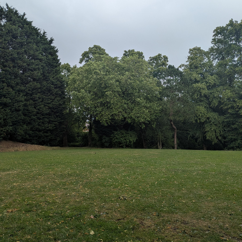 Park 1 (2).png