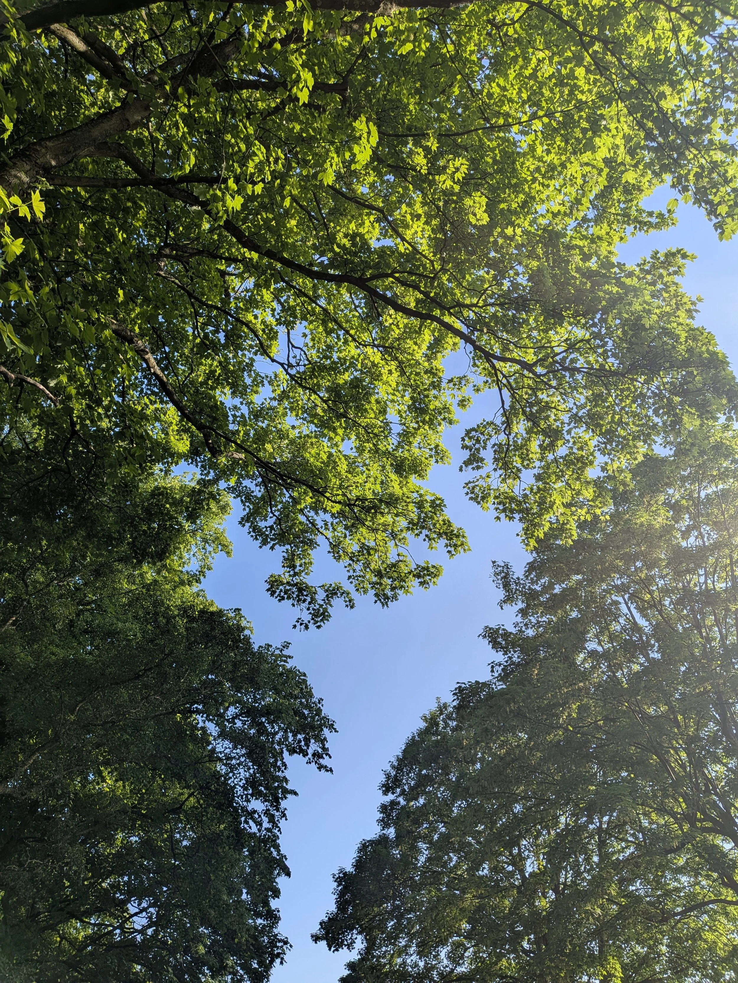 PXL_20260525_173615824.jpg