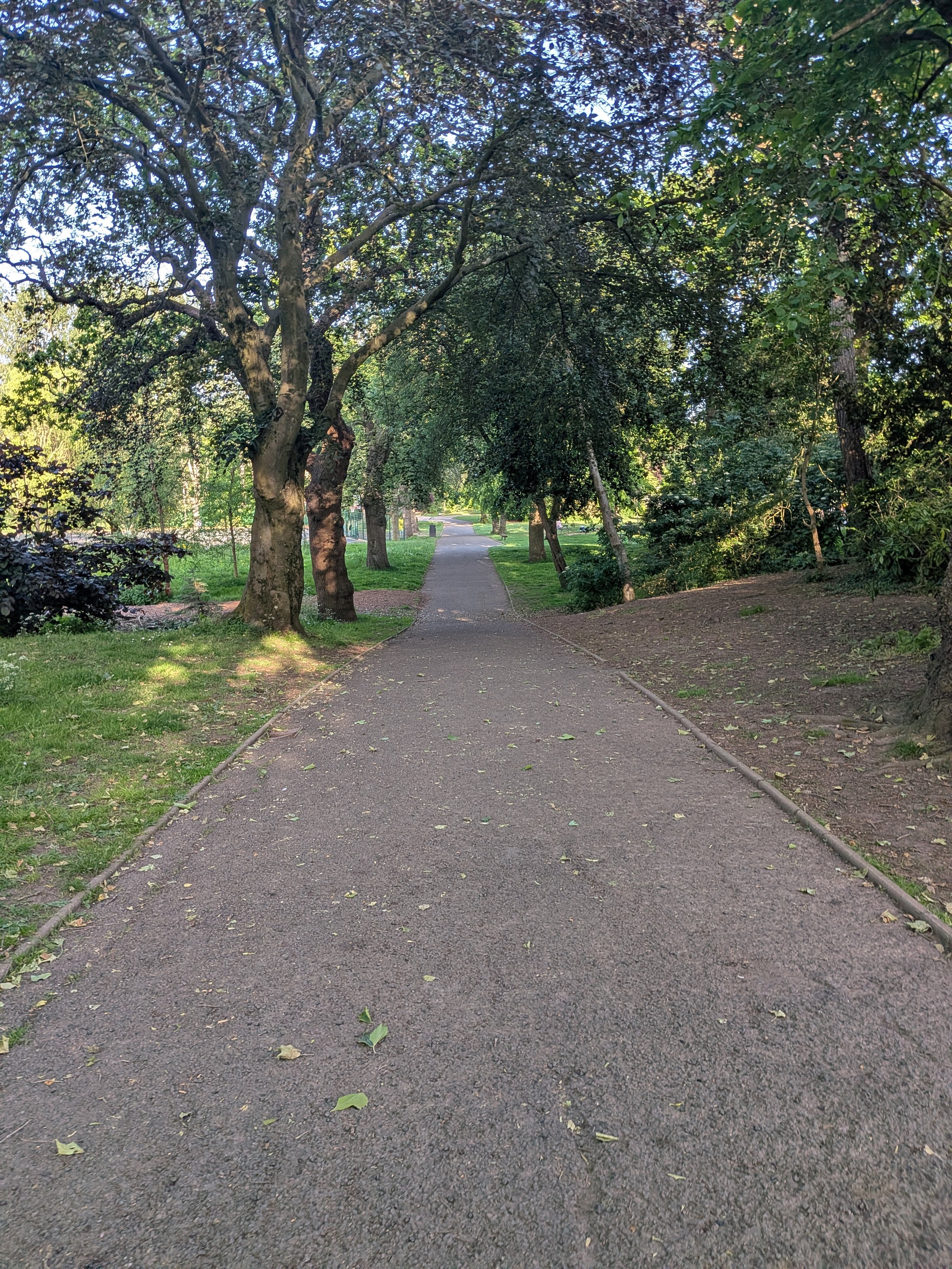 PXL_20260525_174047064.jpg