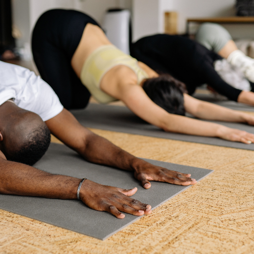 WORKSHOPS 2026 (13).png