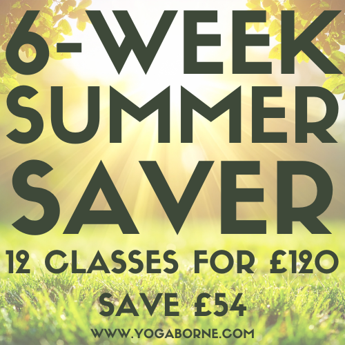 6 WEEK SUMMER SAVER (2).png
