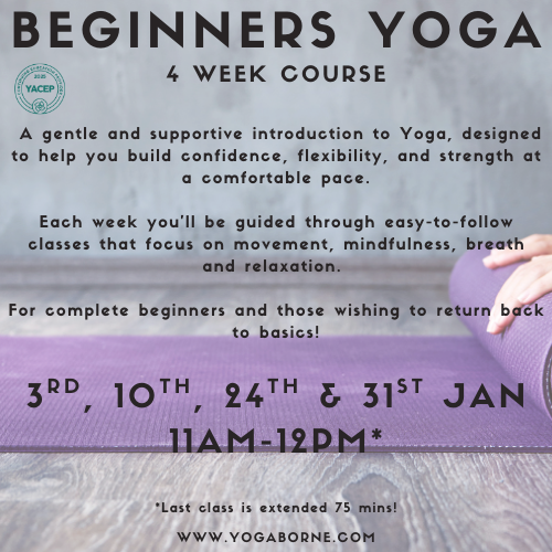 4 WEEK BEGINNERS COURSE JAN 2025 (12).png
