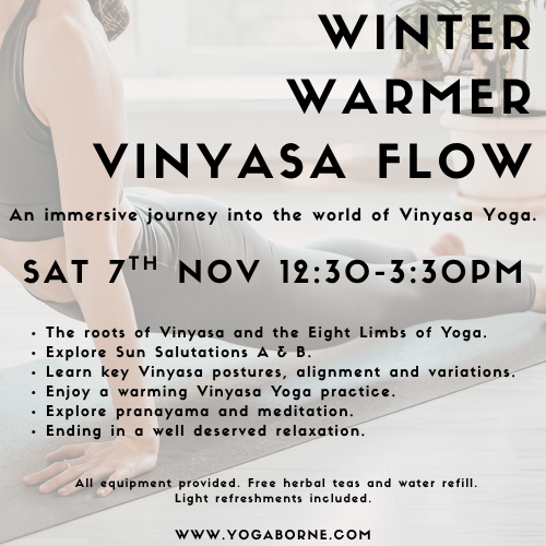 Winter Warmer Vinyasa Flow Workshop (3).png