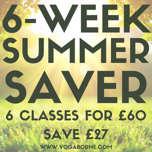 6 WEEK SUMMER SAVER (1).png