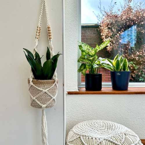 WORKSHOPS 2026 (16).png