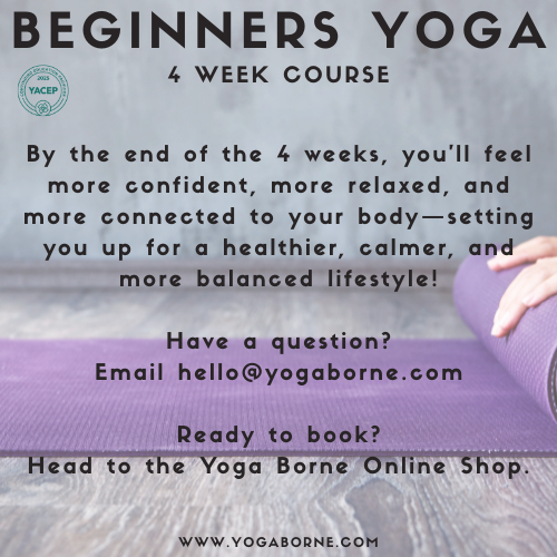 4 WEEK BEGINNERS COURSE JAN 2025 (17).png