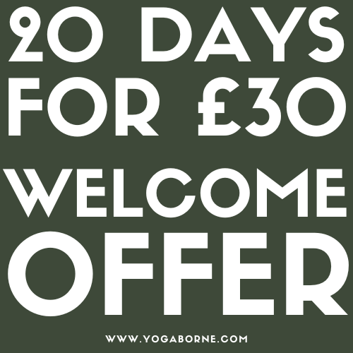 NEW MEMBERSHIP OPTIONS (3).png