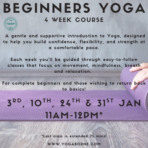 4 WEEK BEGINNERS COURSE JAN 2025 (13).png