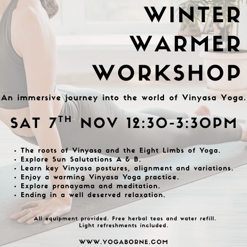 Winter Warmer Vinyasa Flow Workshop (1).png