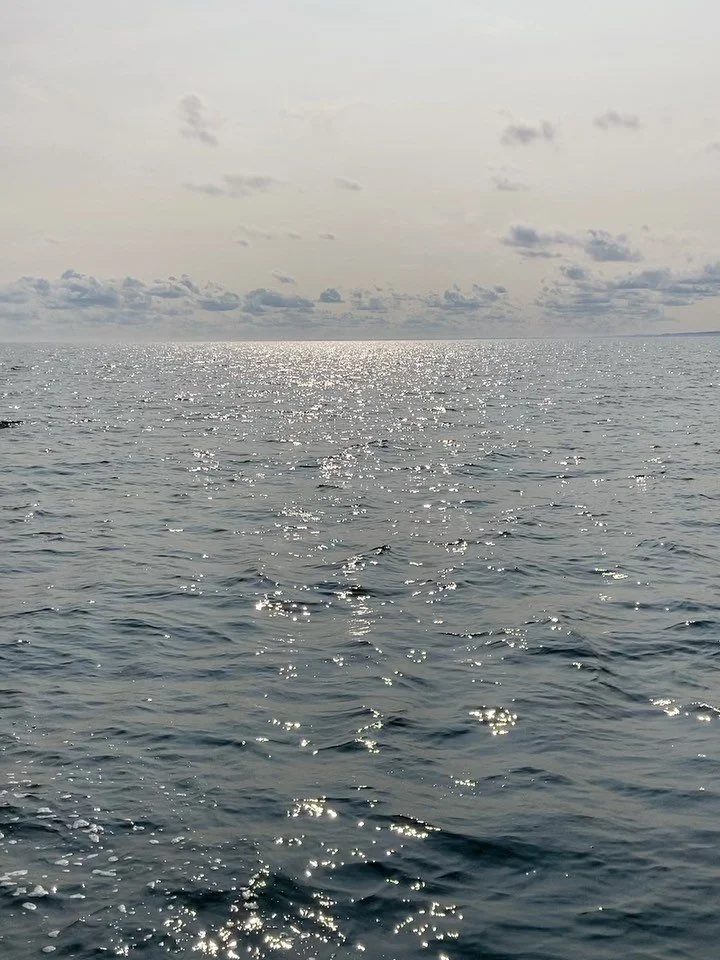 7 jours dans l&rsquo;Atlantique Nord &agrave; la d&eacute;couverte du Danemark par ses c&ocirc;tes ⛵️ Notre capitaine Matthieu nous a conduit de main de ma&icirc;tre, par vent et mar&eacute;e et de port en port depuis Aarhus jusque Copenhague. Quelle
