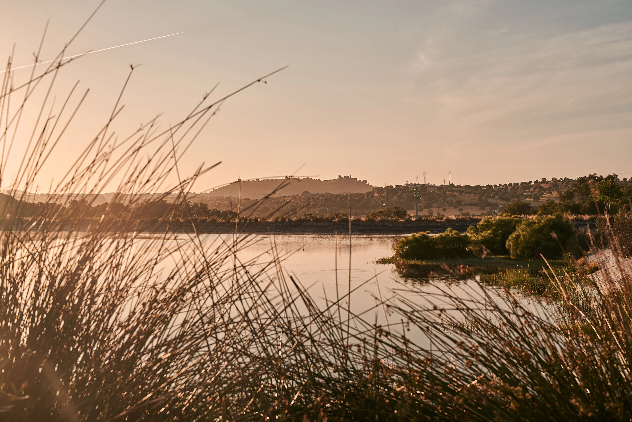 CV_09705.jpg